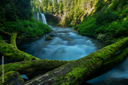 waterfall in the forest