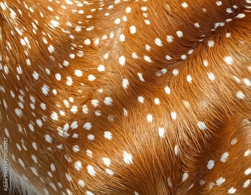Seamless Natural Deer Skin Texture with Organic Spots