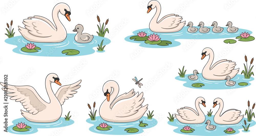 Obraz premium Elegant white swan vector illustration collection featuring swimming birds flapping wings and cygnet babies on water pond