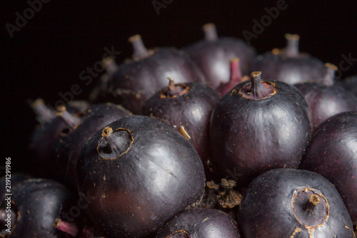 Foto Glossy black Eleutherococcus senticosus drupes cluster, close-up of Siberian gin