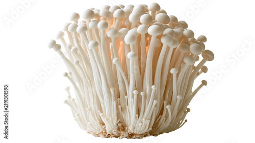 Foto Fresh cluster of white Enoki mushrooms with long thin stems and small caps