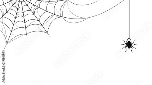 Obraz na płótnie Black spider hanging from a corner spiderweb silhouette