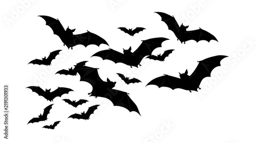 Flock of flying black bats in various poses and sizes