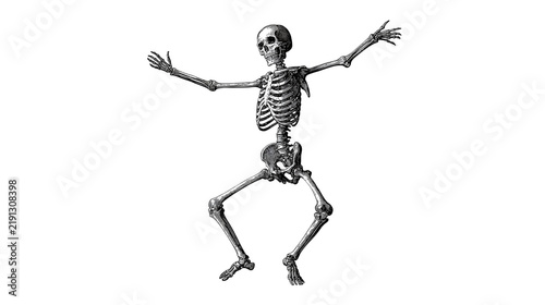 Human skeleton in a dynamic dancing pose with arms outstretched