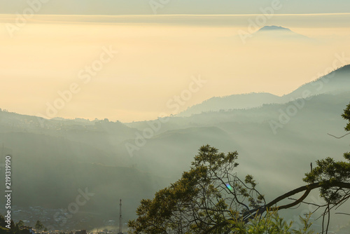Sunlight pierces through tall trees above misty hills. Golden rays warm the dawn's quiet valley. Green slopes roll gently into foggy distance. Lone tent rests near slender, sunlit trees