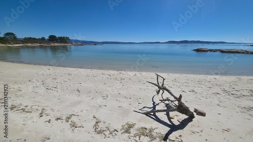 фотографія Idyllic landscape of a wild, idyllic beach with a log on the sand