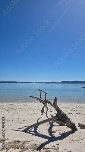 фотографія Idyllic landscape of a wild, idyllic beach with a log on the sand