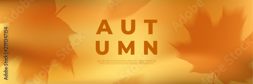 Horizontal autumn blurred web banner background with soft bokeh light and maple leaves. Seasonal fall header layout with bright golden gradient and copy space