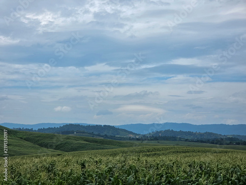Fog clouds on top of mountain peaks sky high overlooking the mountains as far as the eye can see Green with abundant trees in the rainy season Makes you stop looking at it