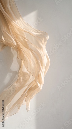 Champagne Silk Chiffon Flowing in Morning Sunlight on Minimalist Lime Wash Wall, Elegant Luxury Abstract Background with Soft Caustic Shadows and Copy Space