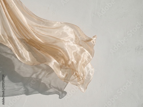 Champagne Silk Chiffon Flowing in Morning Sunlight on Minimalist Lime Wash Wall, Elegant Luxury Abstract Background with Soft Caustic Shadows and Copy Space