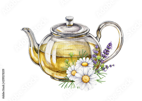 Glass teapot with chamomile and lavender flower, herbal tea hand painted watercolor illustration isolated on background. Herbal tea for packaging, wellness branding, labels and menu