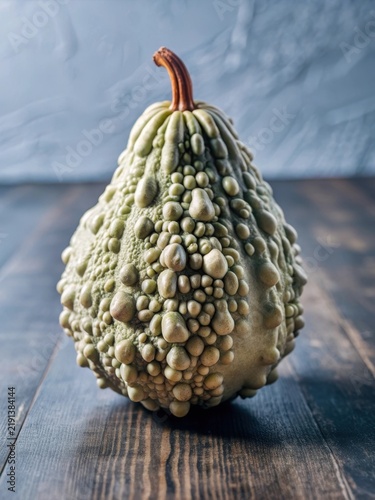 A bitter gourd in full bloom