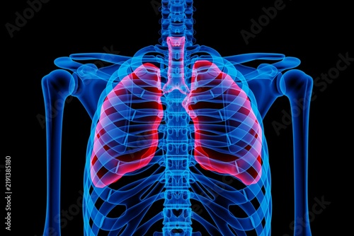 Obraz na płótnie Radiant blue skeleton highlights ribcage structure