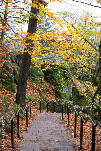 Konstfotografi Vertical shot looking down a paved stone staircase with metal handrails surrounded by mossy sandstone rocks and yellow autumn leaves in forest near Bastei, Saxon Switzerland