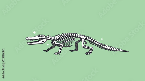 Obraz na plátně Detailed Illustration of a Crocodile Skeleton on a Green Background