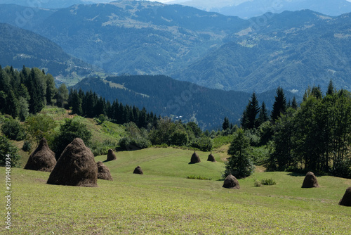 Obraz na płótnie Scattered traditional haystacks on sloping mountain pasture with vista