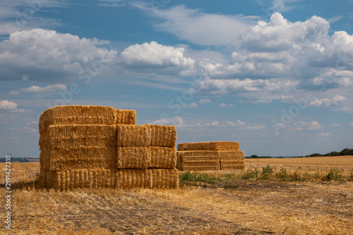 Golden Hay Bales in Open Field Under Cloudy Sky