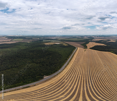 Aerial View of Golden Crop Fields and Forest