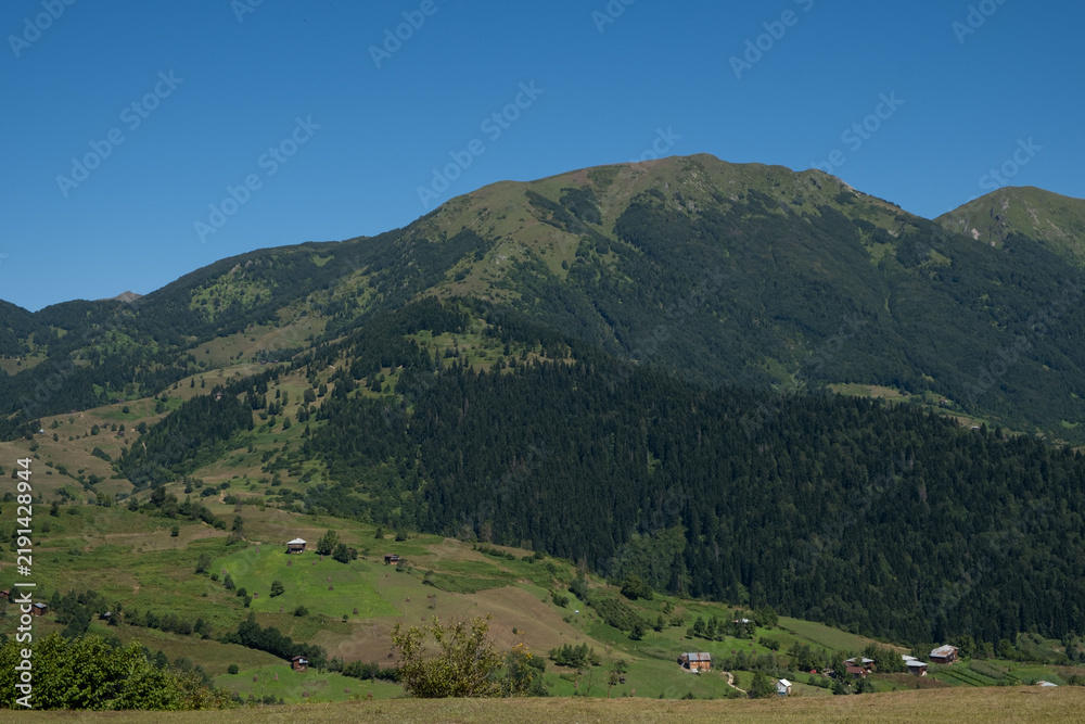 Obraz premium Scenic View of Green Alpine Mountains and Forested Valley Under Clear Sky
