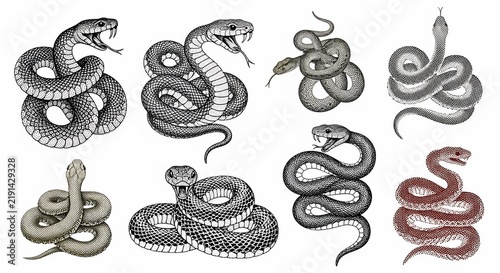 Coiled Echoes of Ancient Lore