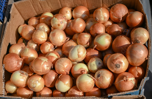  Fresh onions for sale at the market. Freshly harvested organic onions displayed in a box.