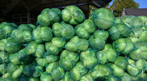 Heads of fresh green cabbage packed in mesh bags for market sale. Fresh green cabbage in net bags ready for winter pickling.
