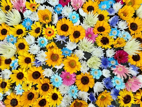 Plakat 色とりどりの花手水