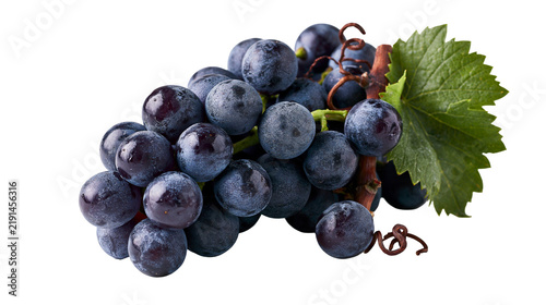 Fotografie Fresh ripe dark purple grapes cluster with green leaf and vine stem