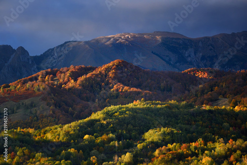 Foto Altitudinal vegetation zones shifting from lush green and bright autumn forest c
