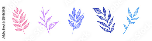 Set of five decorative hand drawn leaf illustrations on white background