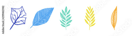 Set of five colorful hand drawn leaf illustrations on a white background