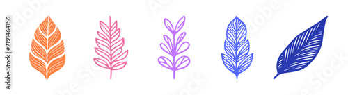 Set of five hand drawn botanical leaf illustrations on white background