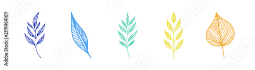 Set of five colorful hand drawn leaf illustrations on a white background