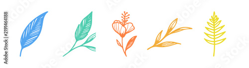 Set of five colorful hand drawn botanical leaf and flower illustrations