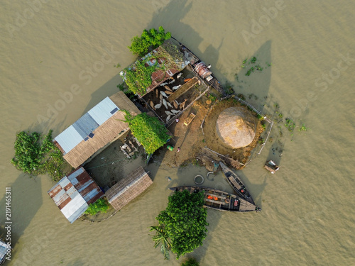 Aerial view of a homestead surrounded by floodwaters, featuring huts, a livestock pen with cattle, and wooden boats moored in Rajshahi District, Rajshahi Division, Bangladesh.
