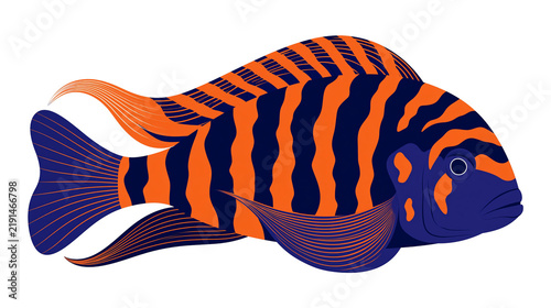 Obraz na płótnie Orange and dark blue striped cichlid fish with flowing fins