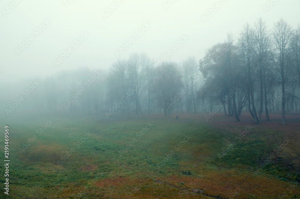 Obraz premium Autumn November landscape background. A wide grassy field in heavy fog. Bare trees and a faint path with a silhouette of unidentified passerby in the misty distance under a grey sky