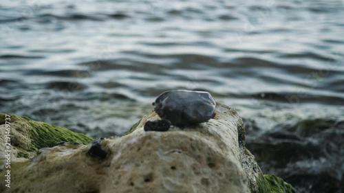 Serene Wet Stone With Gentle Rain. Peaceful Nature Details With Rippling Raindrops And Reflections