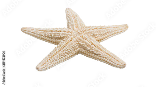 Obraz na plátne Dried beige starfish with textured bumpy surface and five pointed arms