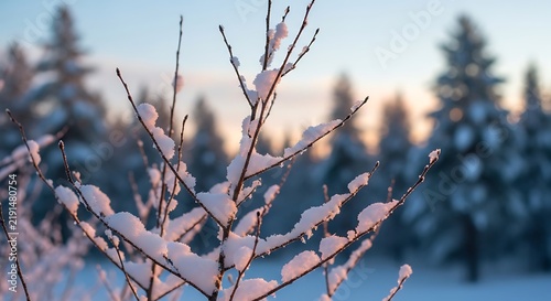 Snowy tree branches in winter landscape.