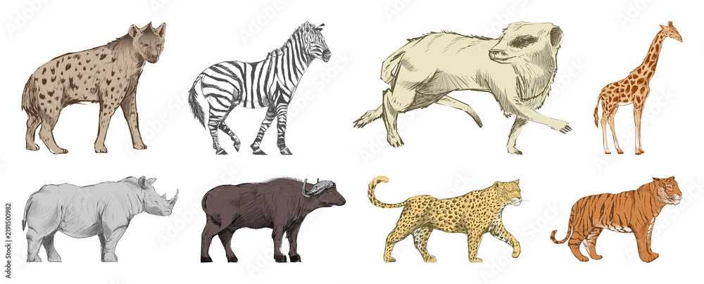 Obraz premium PNG Illustrated African wildlife animals element set on transparent background