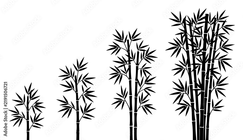 Obraz premium Four bamboo plants illustrated set with simple line art design featuring sketches, drawings, vector graphics with minimalist and simple illustrations