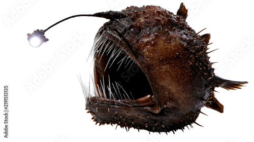Foto Deep sea anglerfish with glowing esca lure and sharp needle-like teeth