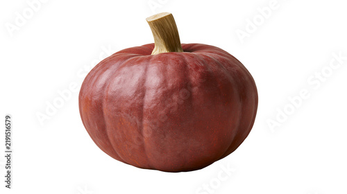 Fotografía Round dark red pumpkin with a thick woody stem