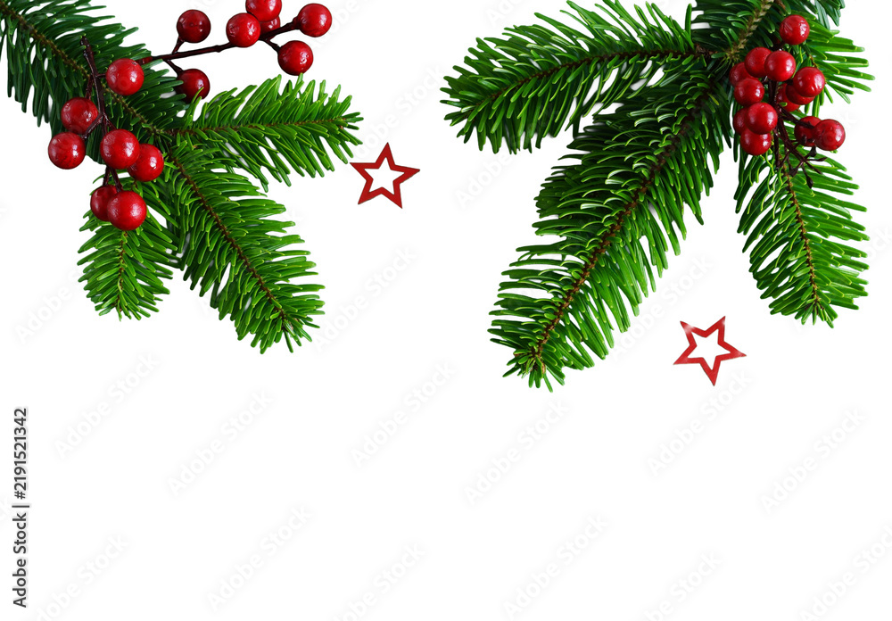Obraz premium Fir tree branches and red berries frame isolated png on transparent background . Cutout object. Christmas decor design element