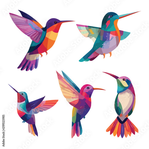 vector illustration of a colorful bird