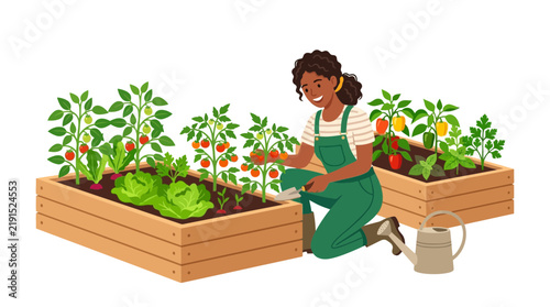 Woman gardening in raised beds, healthy vegetables growing