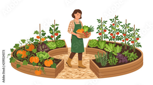 Gardener harvesting fresh vegetables from raised garden beds