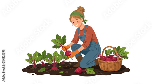 Woman Harvesting Fresh Beets in Garden